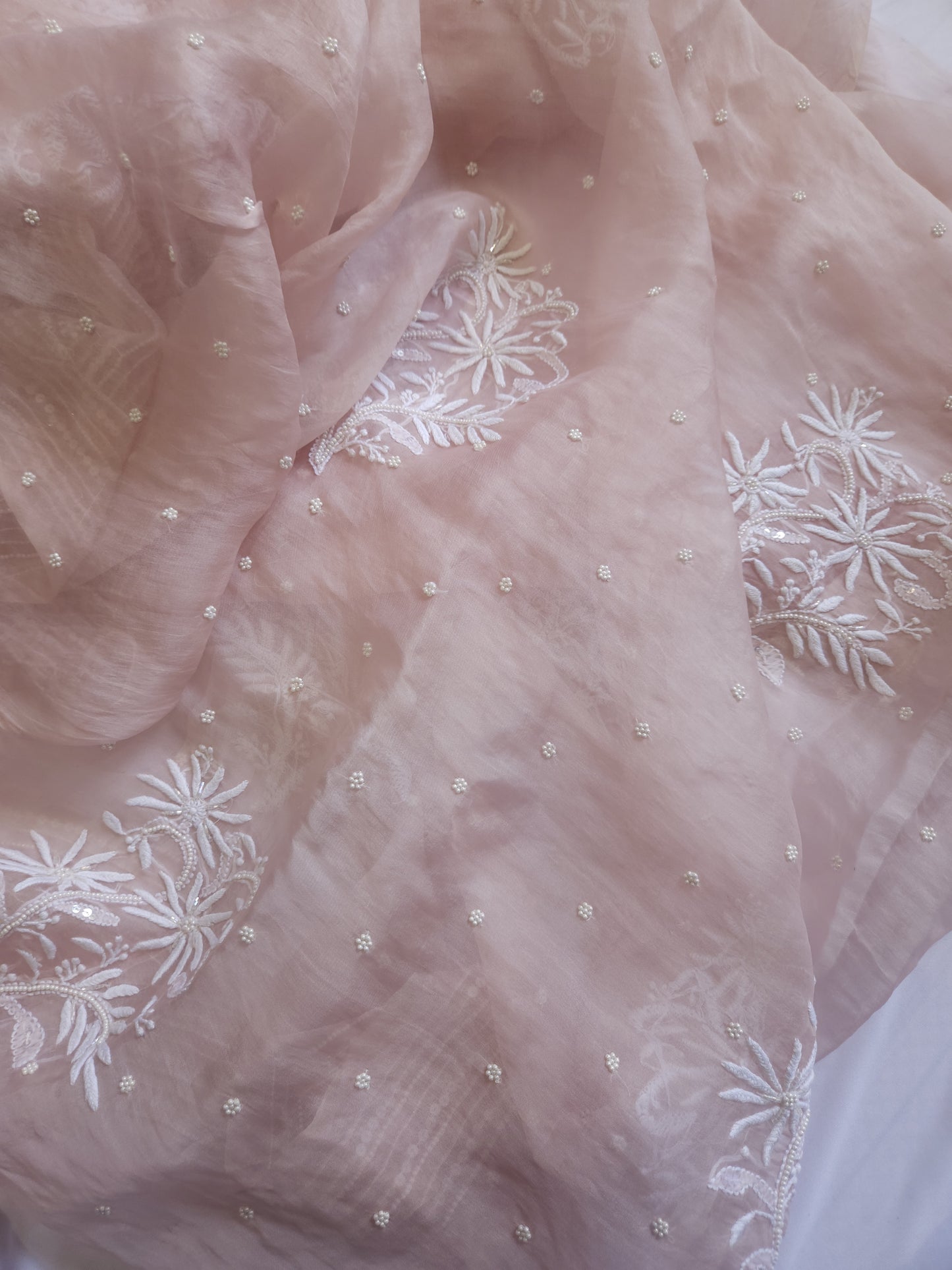 Organza Silk Saree (Hazelnut)