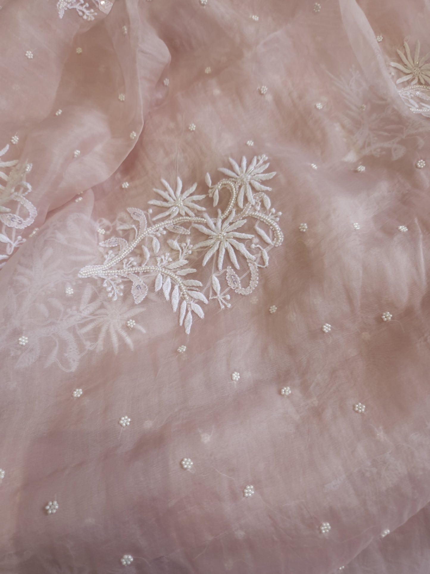 Organza Silk Saree (Hazelnut)