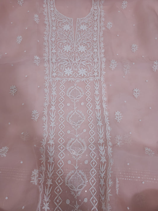 Pure Organza Silk 2-Piece Suit Set (Light Peach) (PS027)